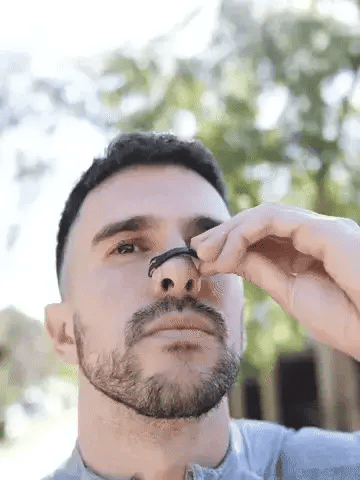 GIF destacado